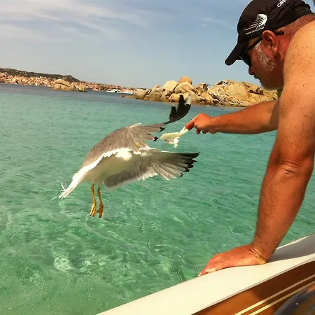 Πανδοχείο Casa Ilva